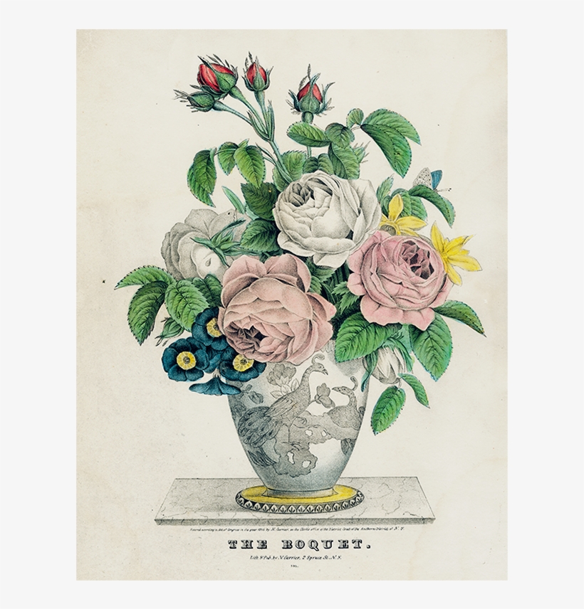 Flower, transparent png download