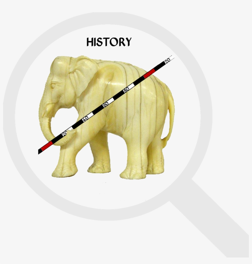 X Le Boquet - African Elephant, transparent png download