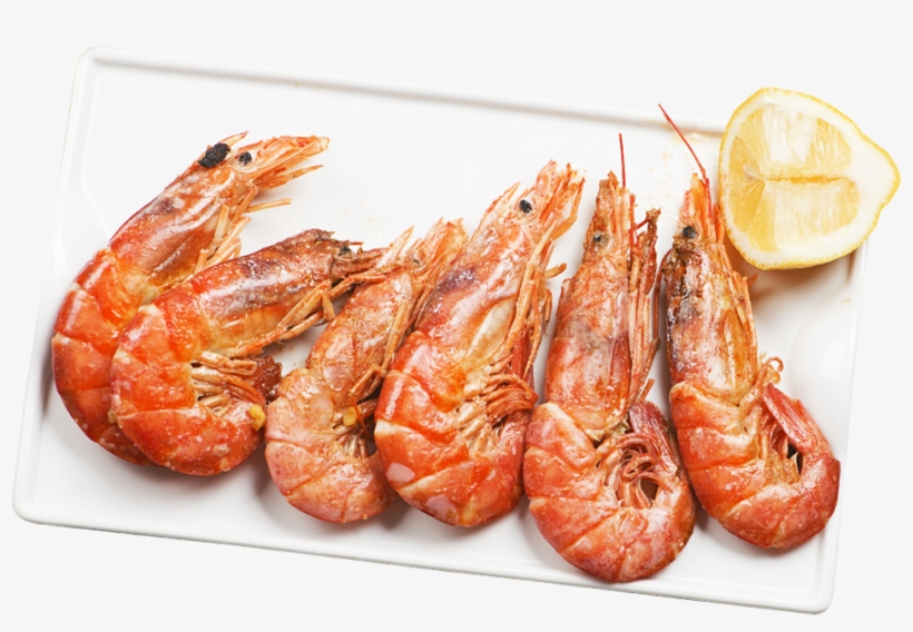 Shrimp, transparent png download