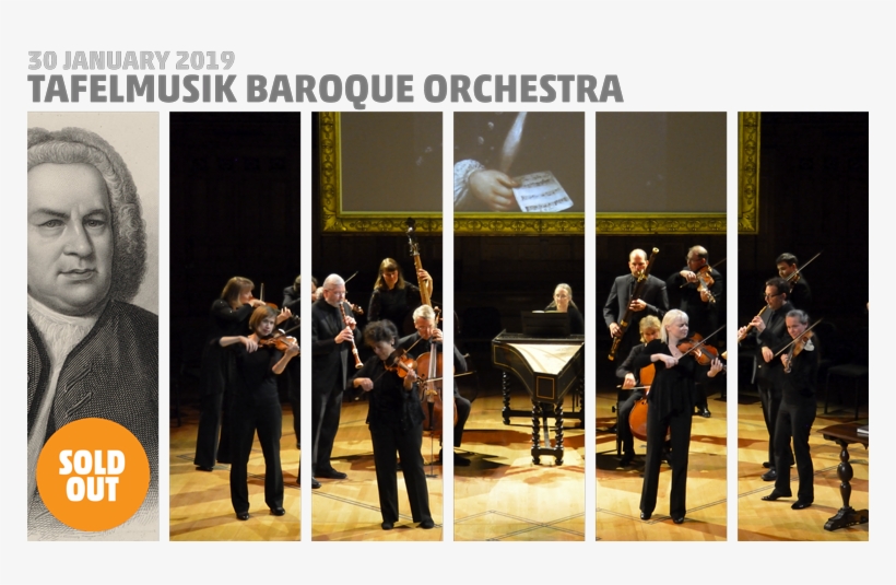 Orchestra, transparent png download