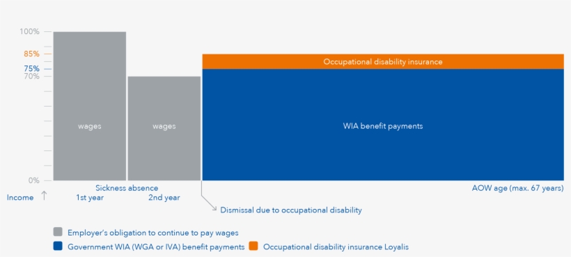 Aov O O Standaard 80 100 Volledig En Fontys - Wia Grafiek, transparent png download