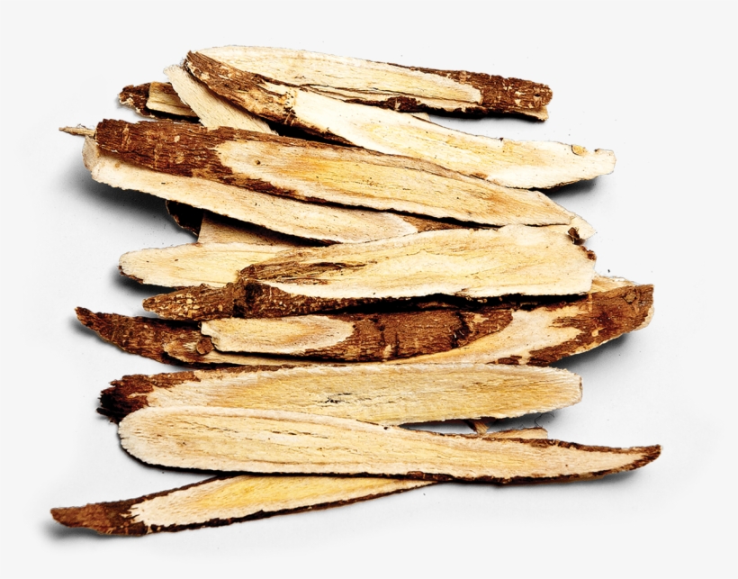 Astragalus Root, transparent png download