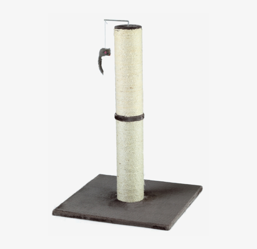 Gorpets Cat Scratcher Ultima Grey - Domestic Short-haired Cat, transparent png download