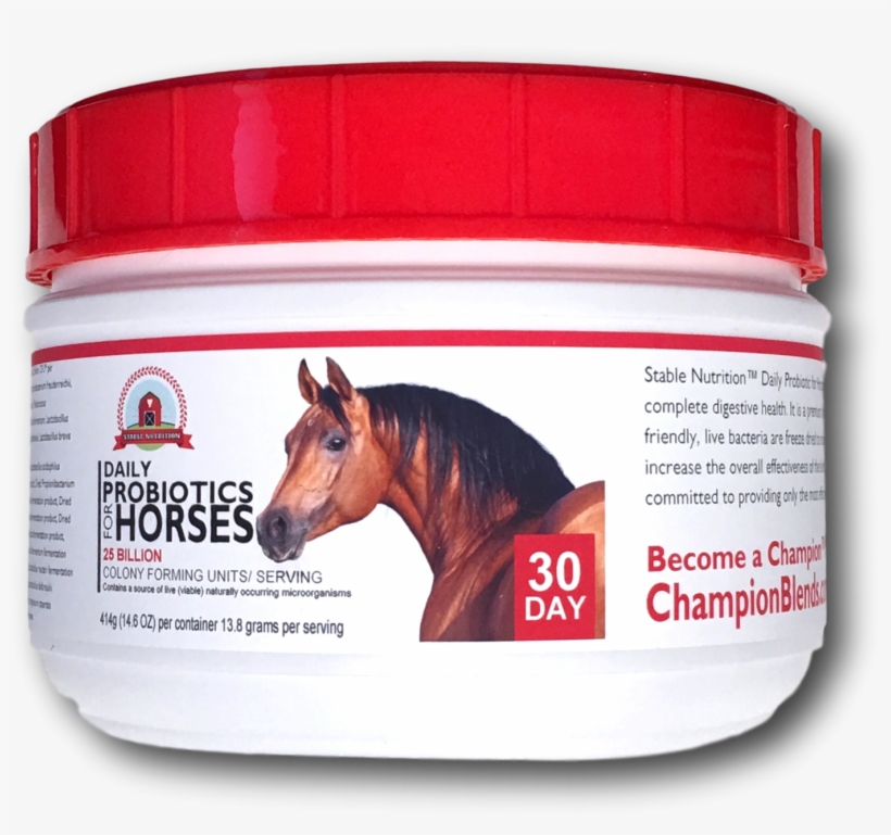 10 Premium Kynsa Chalk Markers 40 Free Chalkboard Labels, - Stallion, transparent png download