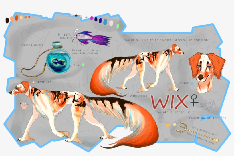 Bengal Tiger, transparent png download