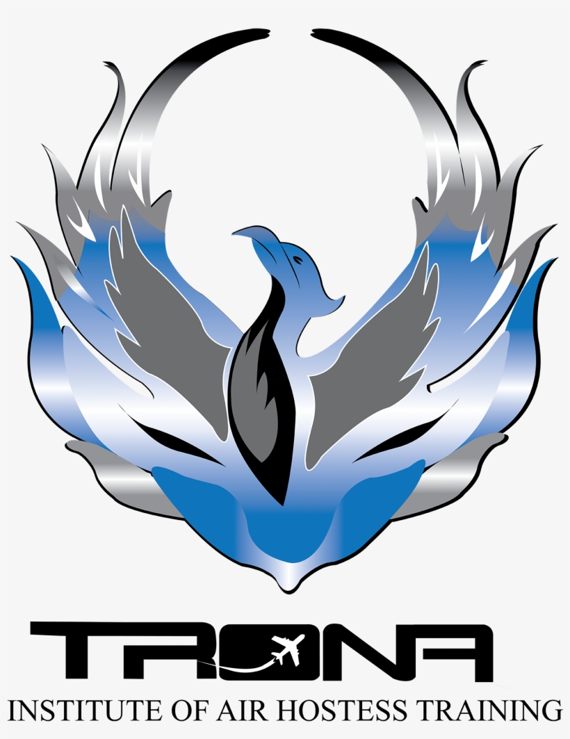 Graphic Design, transparent png download