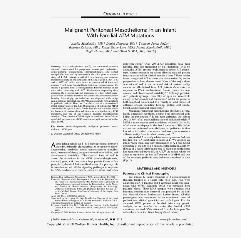 Pdf - Folio Eighteen From Burchard Of Sion's De Locis Ac, transparent png download