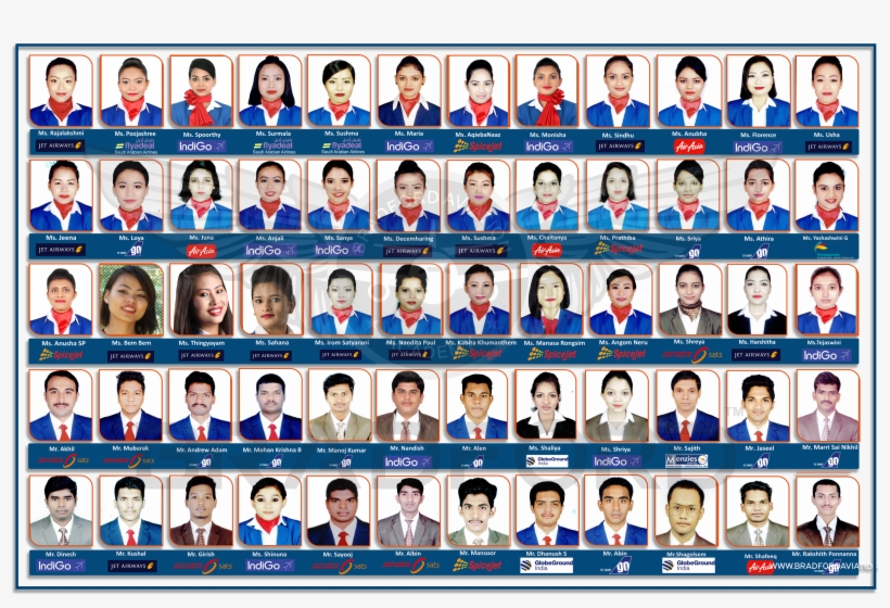 Placed Bradfordians, transparent png download