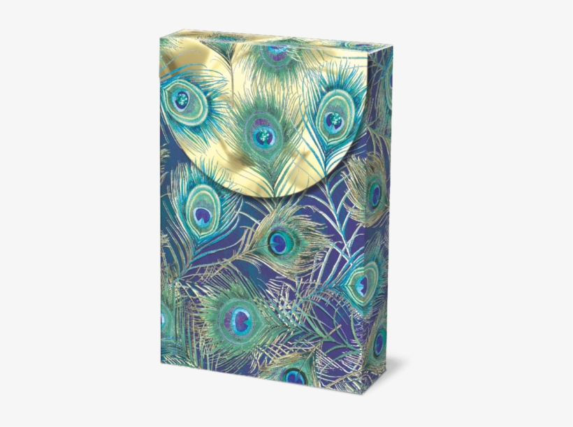 Peacock Feather Pouch Note Cards - Modern Art, transparent png download