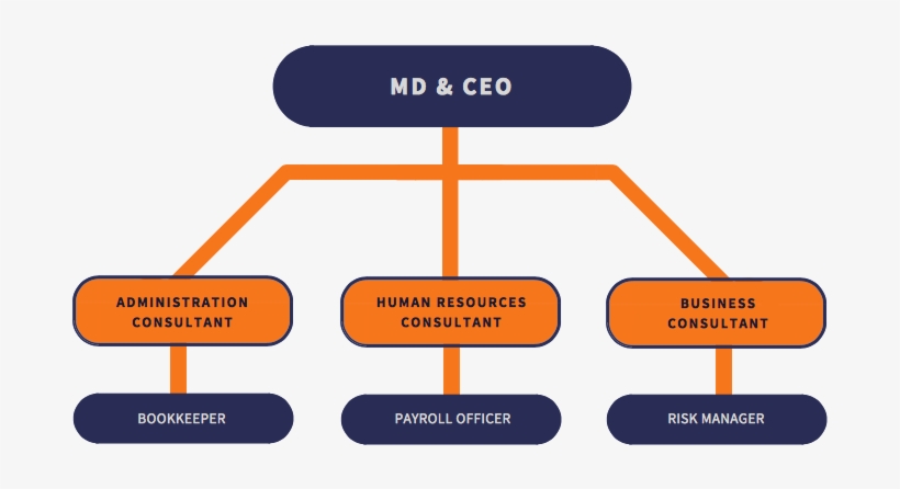 Org Chart - Diagram, transparent png download