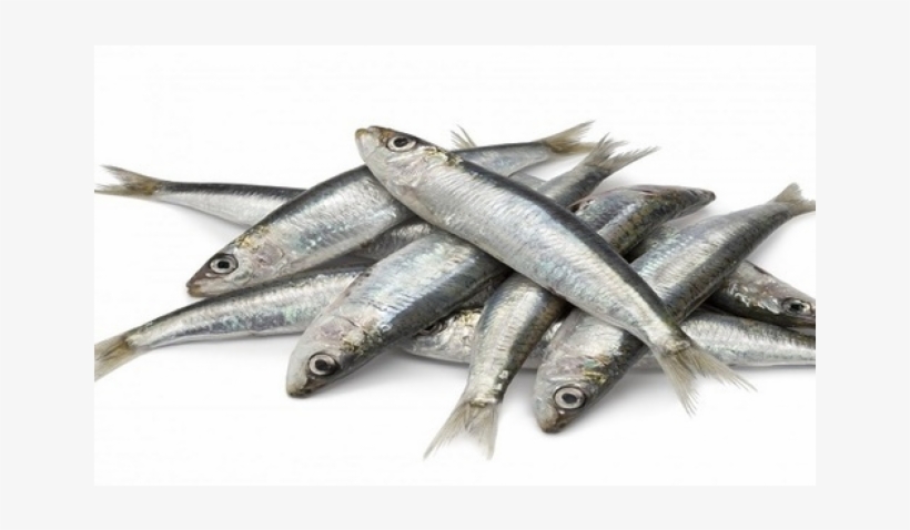 Fish, Non Veg, Veg & Non Veg - Pohala Fish, transparent png download