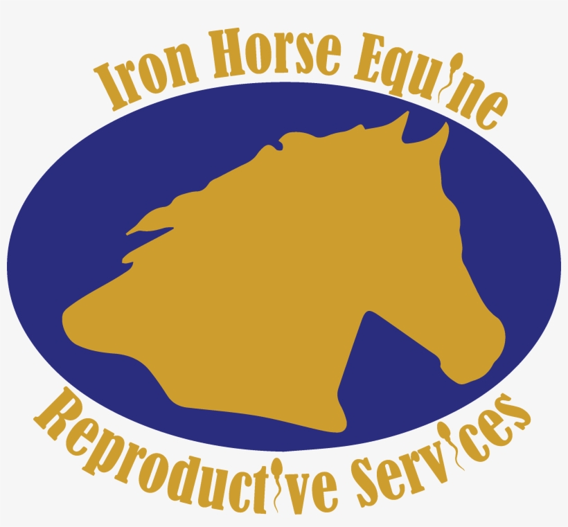 Services Iron Horse Equine, transparent png download