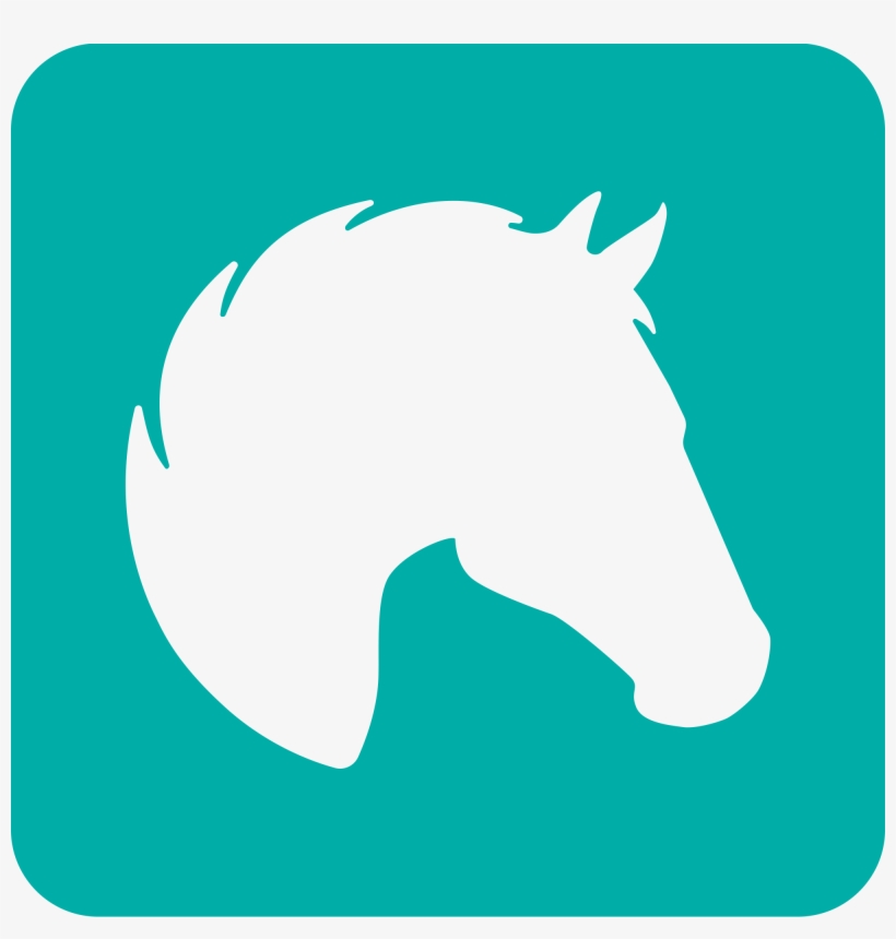 Fitness, transparent png download