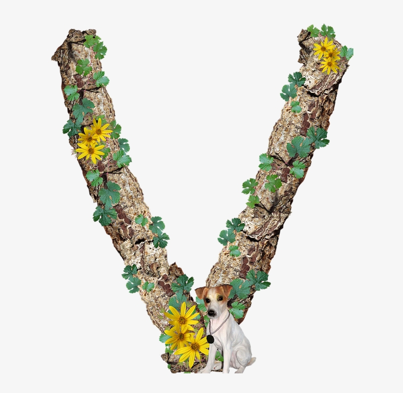Alphabet, Letter, V, Rustic, Timber, Bark - Necklace, transparent png download