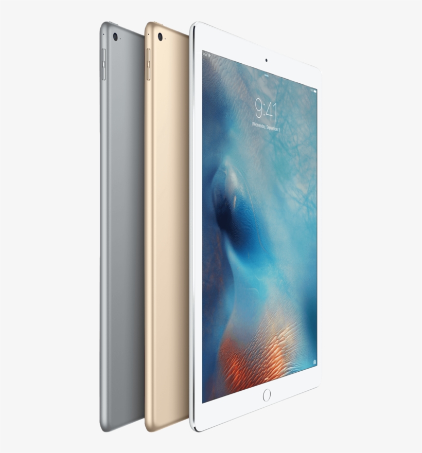 Apple Ipad Wifi & Cellular, transparent png download