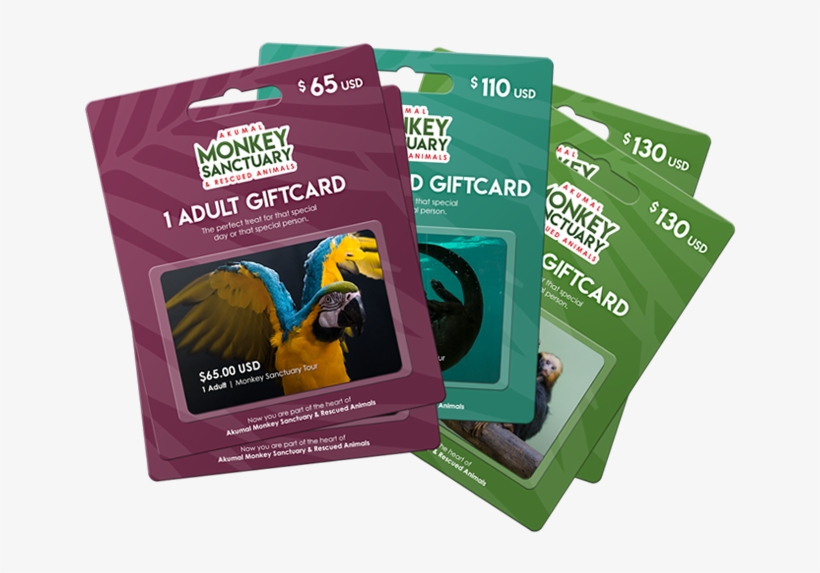 Akumal Monkey Sanctuary Gift Card Is The Perfect Treat - Graphic Design, transparent png download