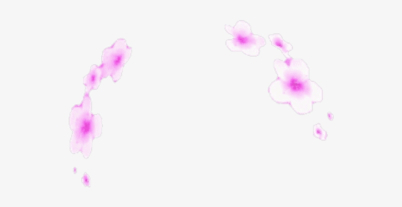 Free Png Download Transparent Flower Crown Tumblr Png - Illustration, transparent png download