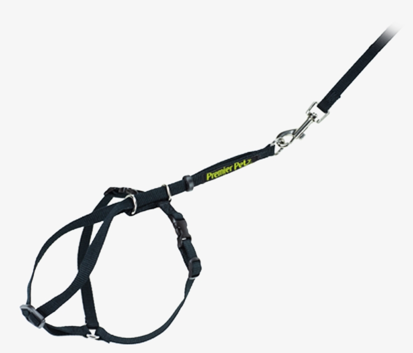 Cat Harness & Leash - Halter, transparent png download