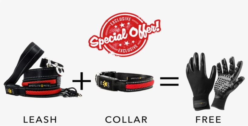 Combo Free Glove Exclusive2 - Belt, transparent png download
