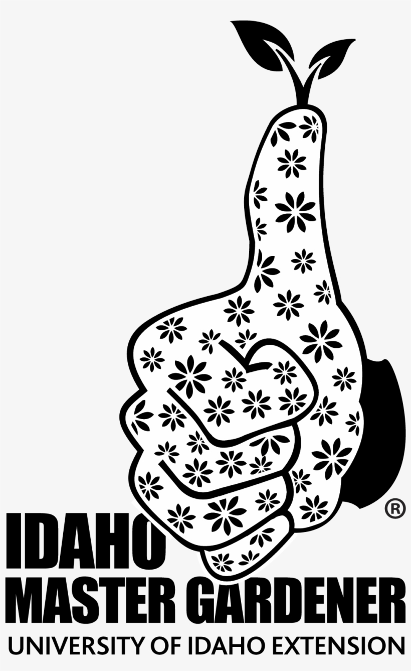 Jpg Or Png - Illustration, transparent png download