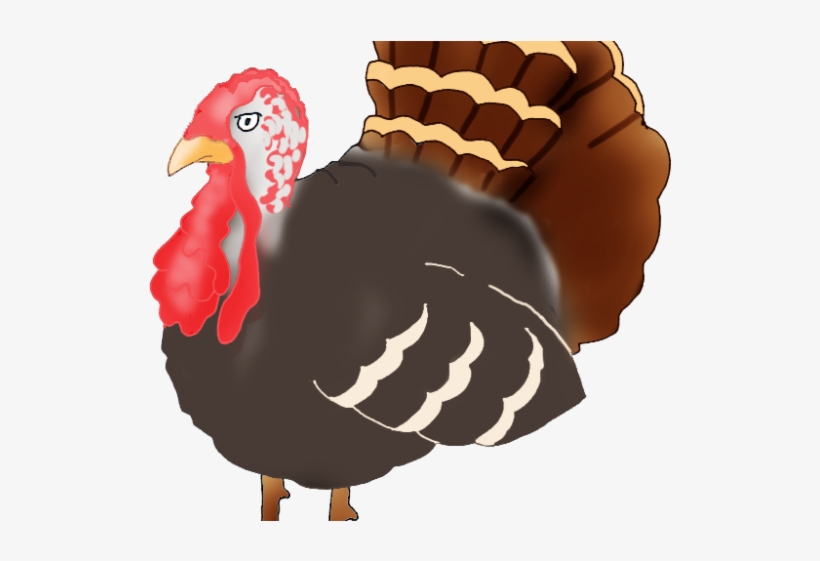 Drawn Turkey Transparent - Turkey, transparent png download