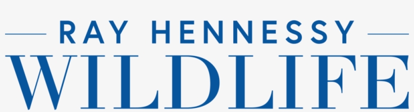 Hennessy Logo Png, transparent png download