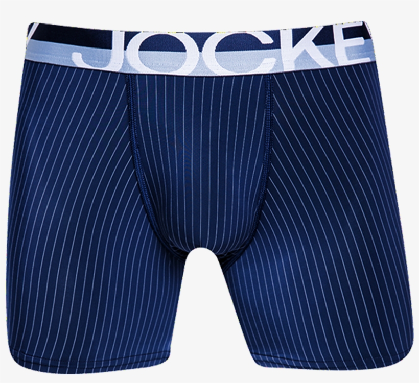 Single Pinstripe Long Leg Trunk - Underpants, transparent png download