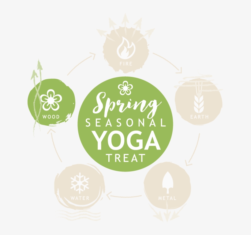 Springcircle - Circle, transparent png download