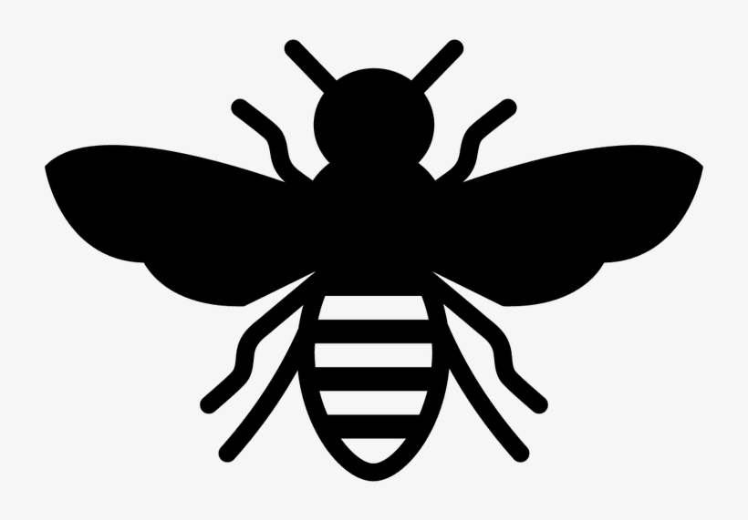 Black And White Bee Png, transparent png download