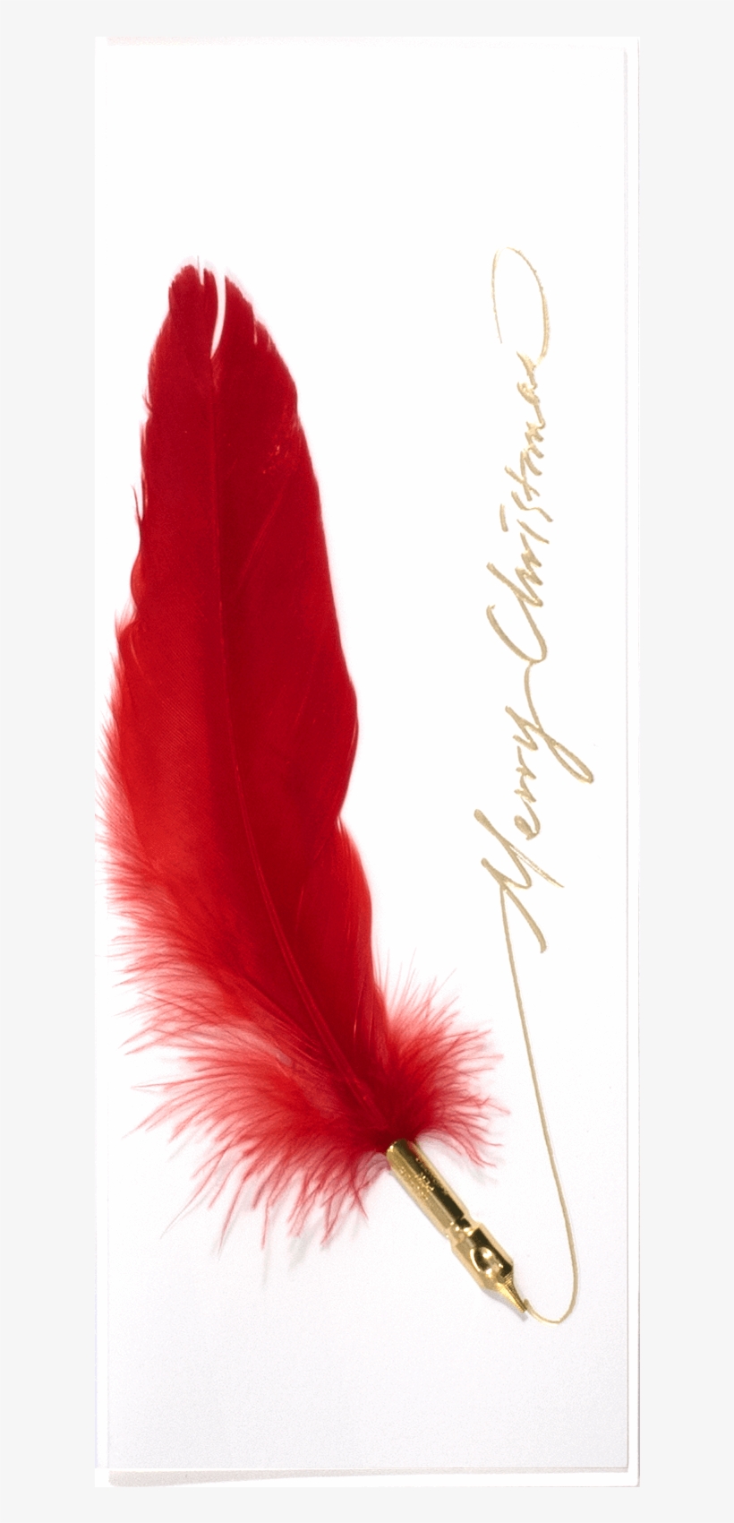 Feather Pen Christmas - Calligraphy, transparent png download