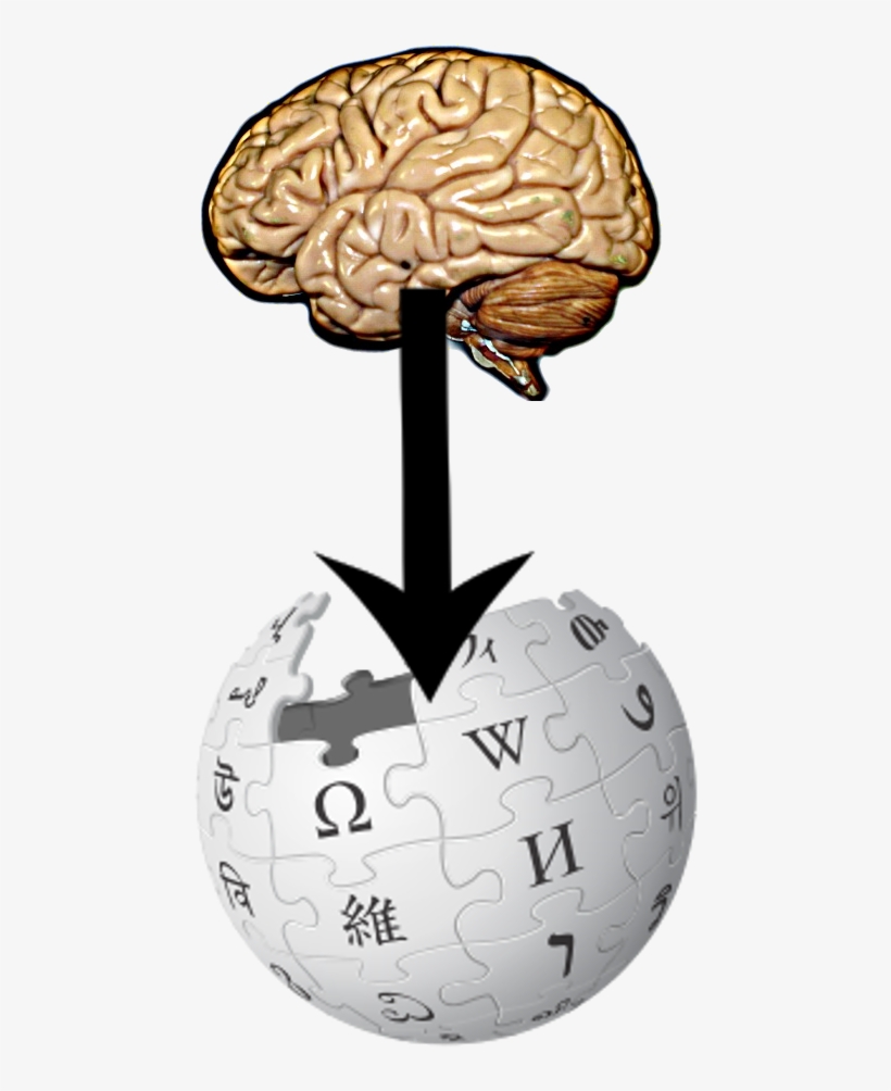 From Brain To Wikipedia - Wikipedia, transparent png download