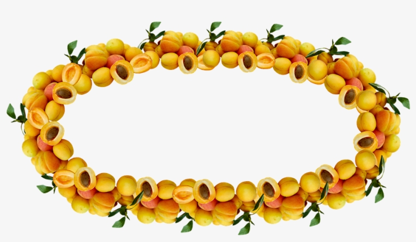 Jam Clipart Apricot Jam - Circle, transparent png download