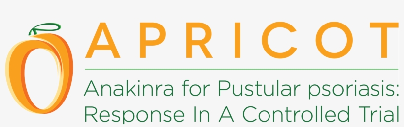 Apricot - Circle, transparent png download