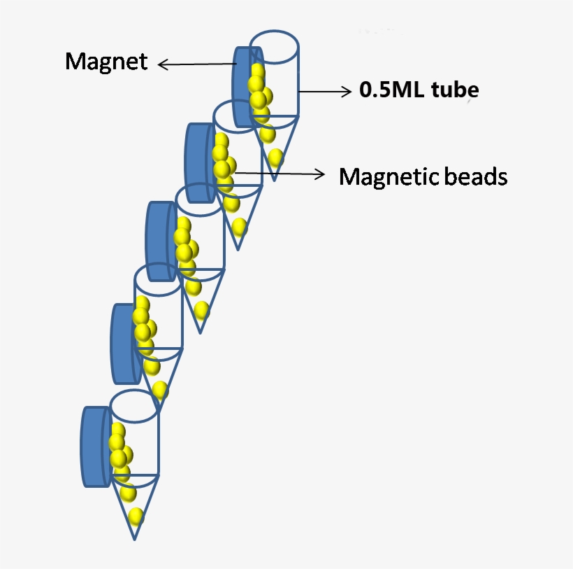 Magnetic Separator, transparent png download