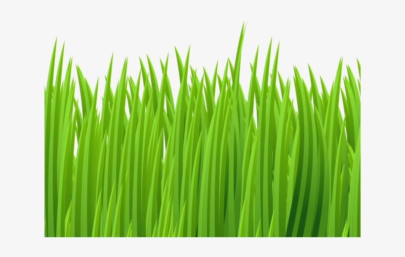 Ground Clipart Green Grass - Grass Clip Art Png, transparent png download