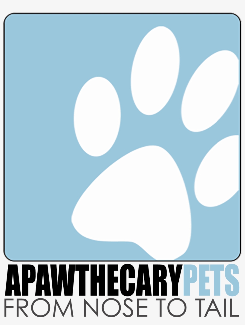 Coursing Offers A Great Way For Dogs To Burn A Lot, transparent png download