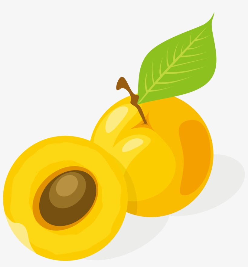 Apricot Drawing Fruit - Cartoon Apricot Png, transparent png download