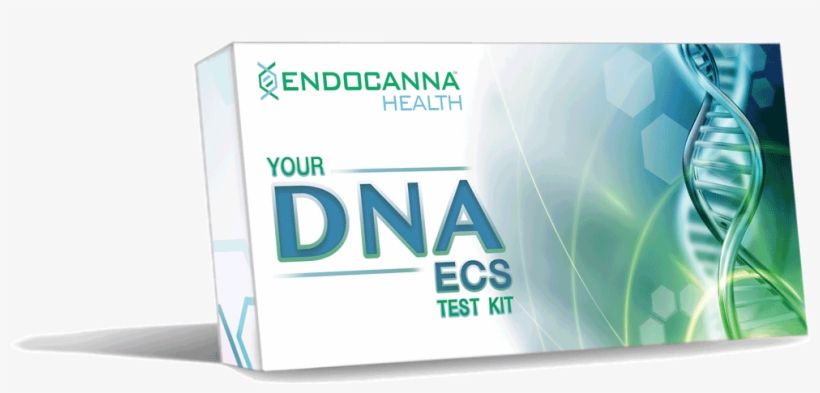 Advanced Endocannabinoid Dna Test - Operating System, transparent png download