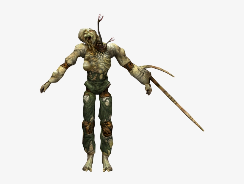 Download Zip Archive - Halo Flood Combat Form Human, transparent png download