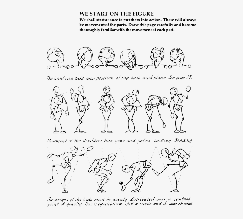 Vector Black And White Library Action Drawing Human - We Begin To Draw First The Mannikin Frame, transparent png download