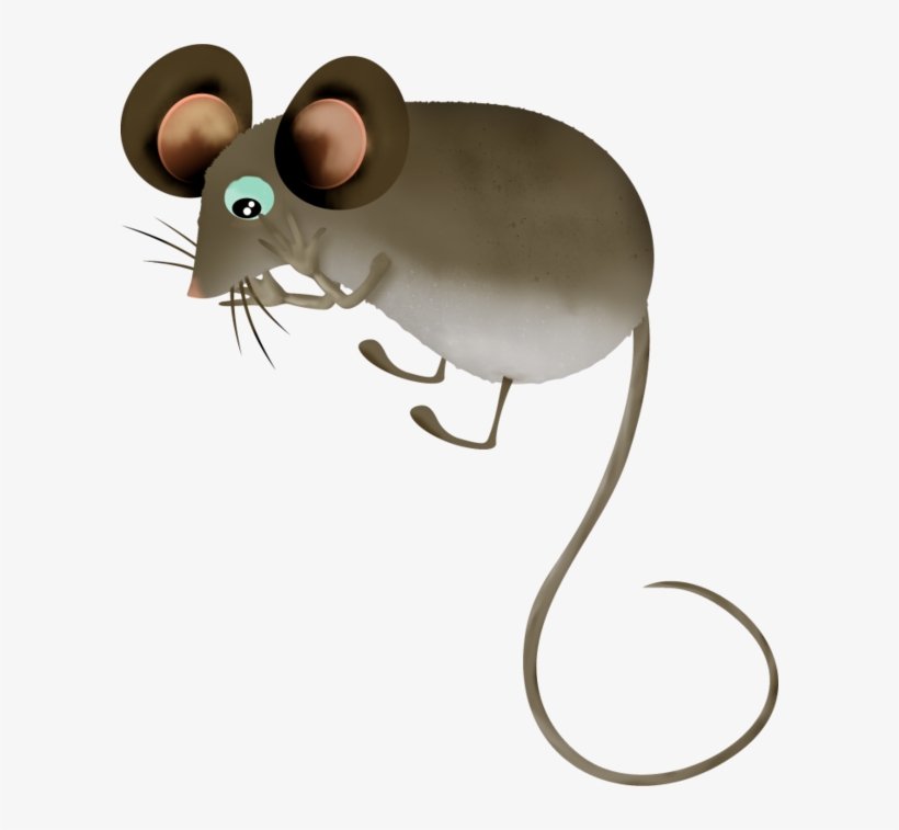 Mouse, Tubes, Png - Rat, transparent png download
