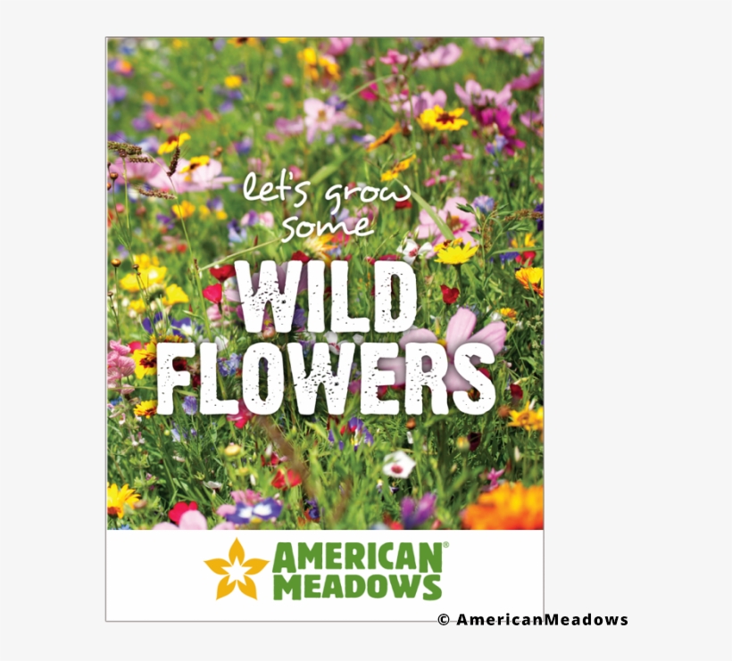 Let's Grow Wildflowers Seed Packet - Luční Zahrada, transparent png download