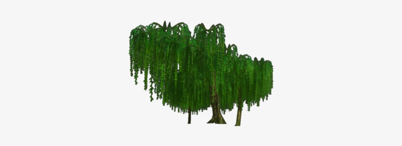 0 1513827405059 Willowleftside - Grass, transparent png download