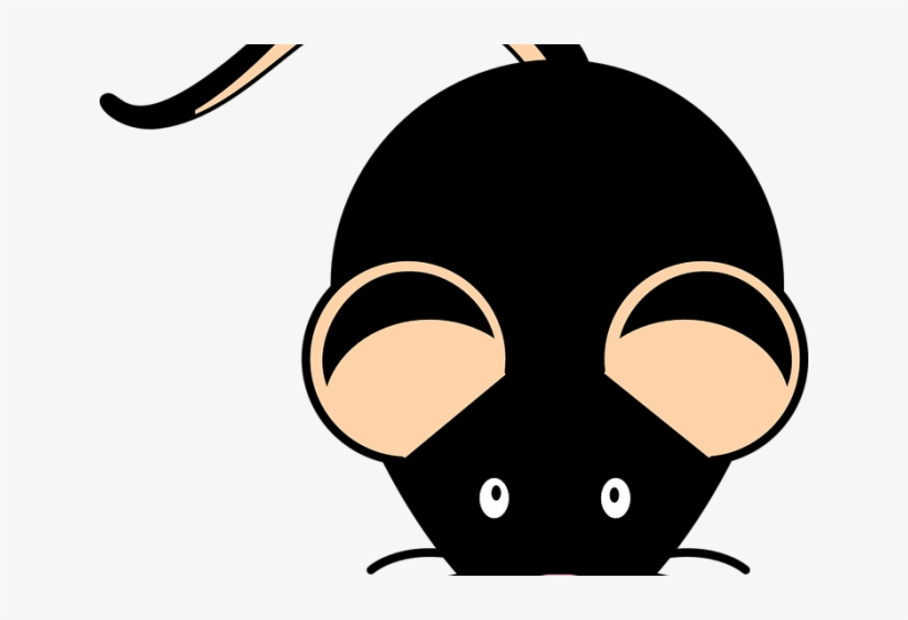 Mouse Animal Cliparts - Clip Art, transparent png download