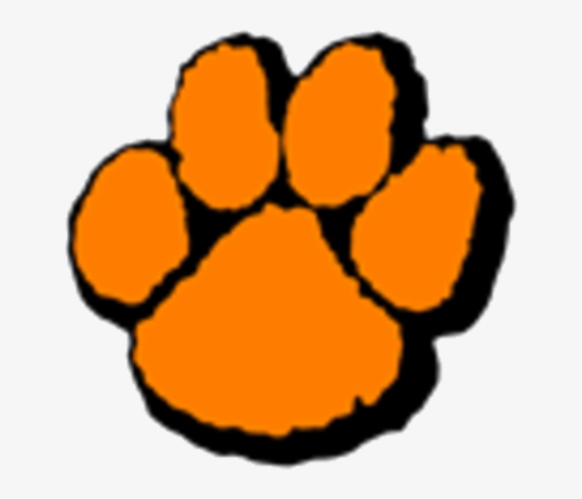 Tiger Print Clipart Wheaton Warrenville South - Wheaton Warrenville South High School Logo, transparent png download