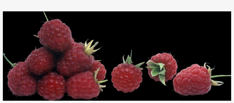 Raspberry Png - Wine Raspberry, transparent png download