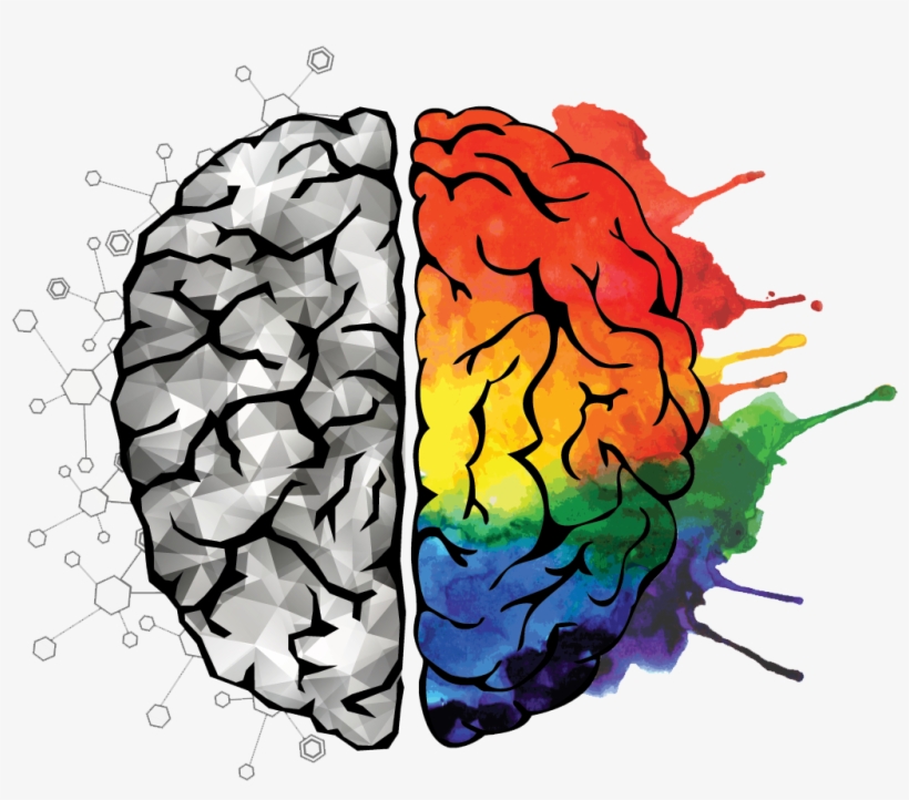 Brain - Gehirn Rechte Und Linke Gehirnhälfte, transparent png download