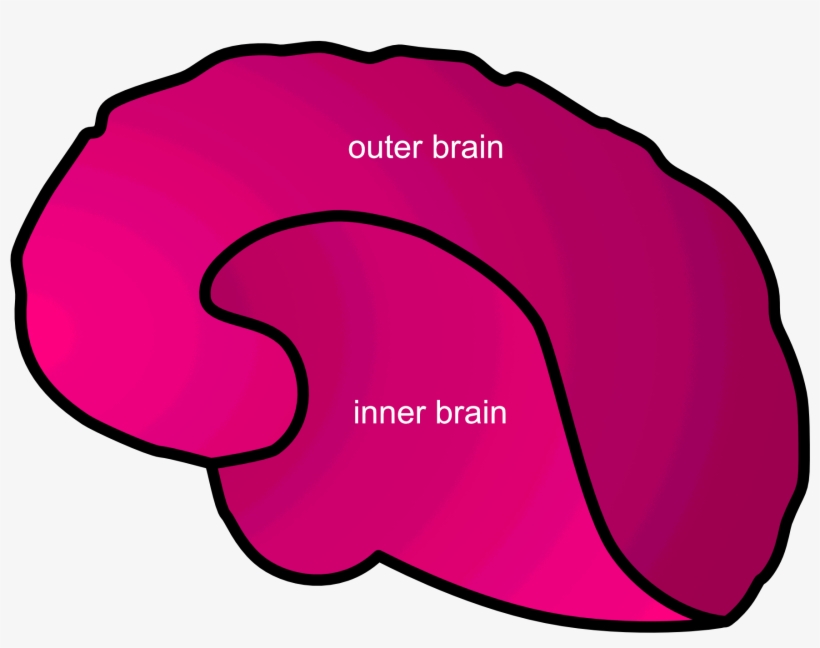 Inner Vs Outer Brain, transparent png download