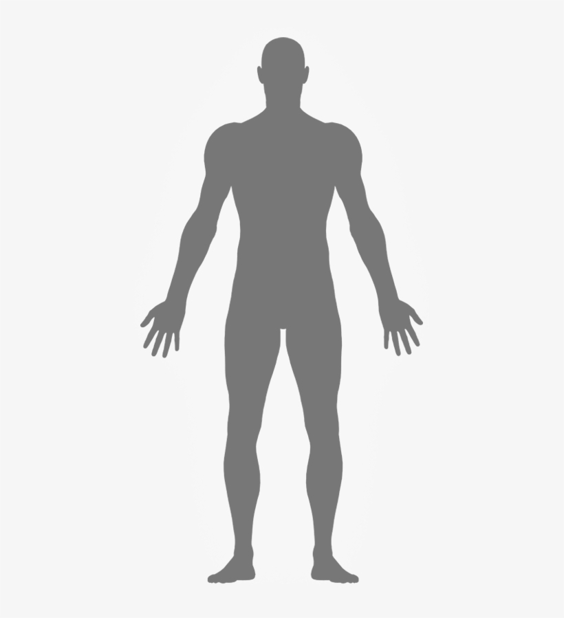 Our Bodies - Electro Interstitial Scan, transparent png download