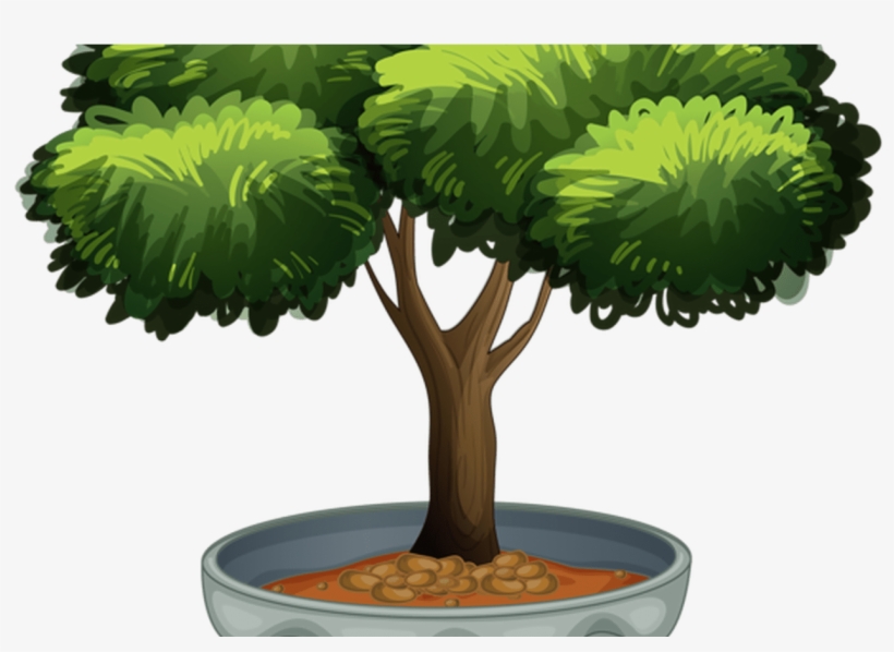 Potted Topiary Clip Art Potted Plants Clip Art Pinterest - Bright Moon, transparent png download